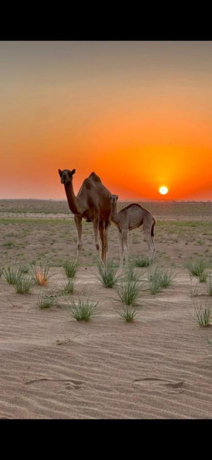 Panorama Camp Bidiya Guest House Al Wasil Exterior photo